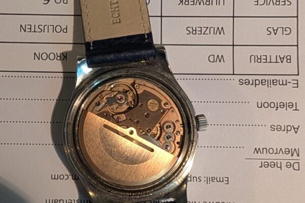 PXL_20260115_114615176.MP Large